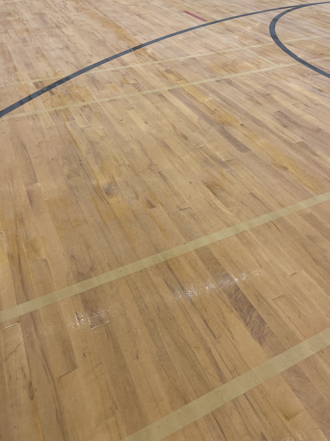 Close-up of an even, screened maple gym floor surface